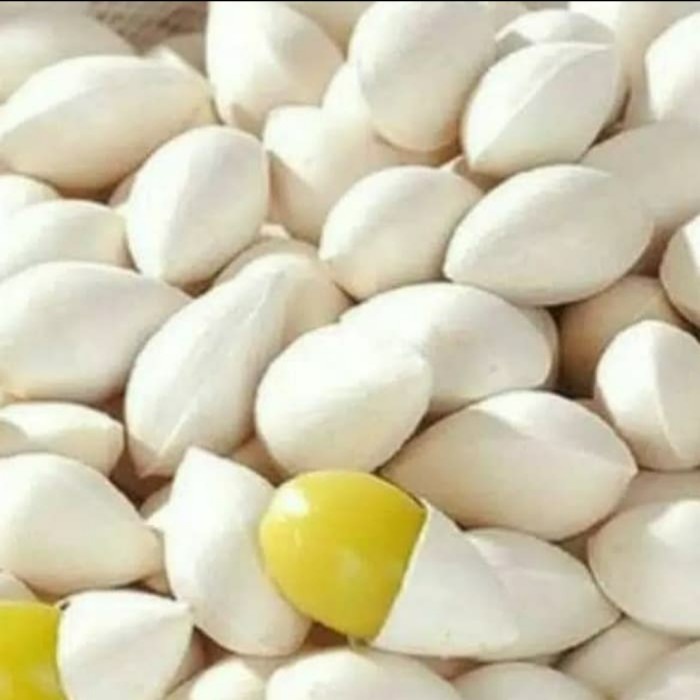 

vf501ge Kacang Ginko Kering / Ginko Nuts / Bai Guo / Pek Ko Dscscv