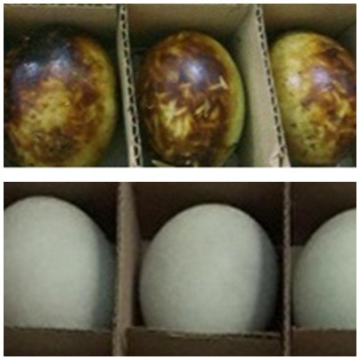 

Telor ASIN YES MIX Isi 6