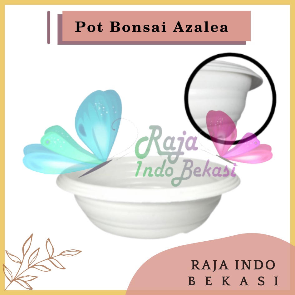Pot Bonsai Bulat 25CM Putih | Pot Tanaman Bonsai 25 Cm Plastik Bukan Gerabah | Pot Bonsai Ceper 25