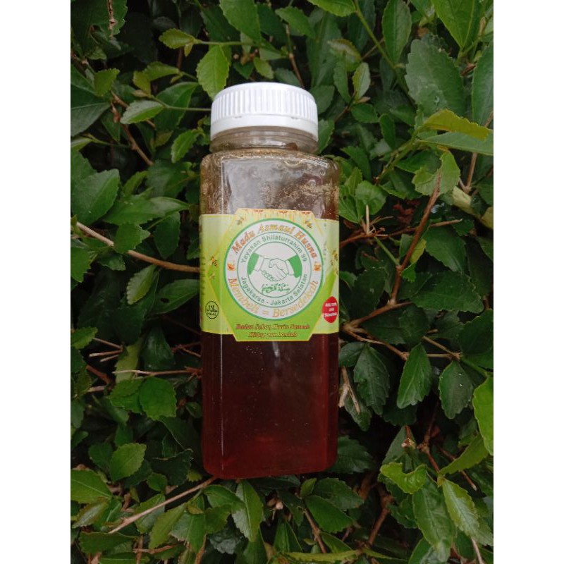 

Madu Hutan (Manis) 300 gram Asli 100% dari Sumbawa