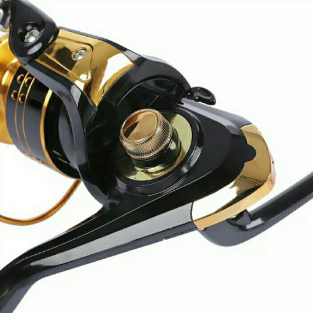 Reel Rui bo ( proberos) REB 6000 12BB
