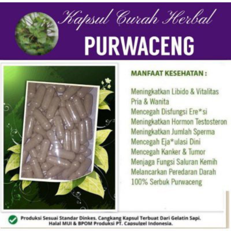 

Purwaceng kapsul curah herbal isi 100