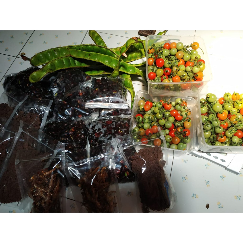 

Buah Rampai Rempai Segar khas lampung 400gr