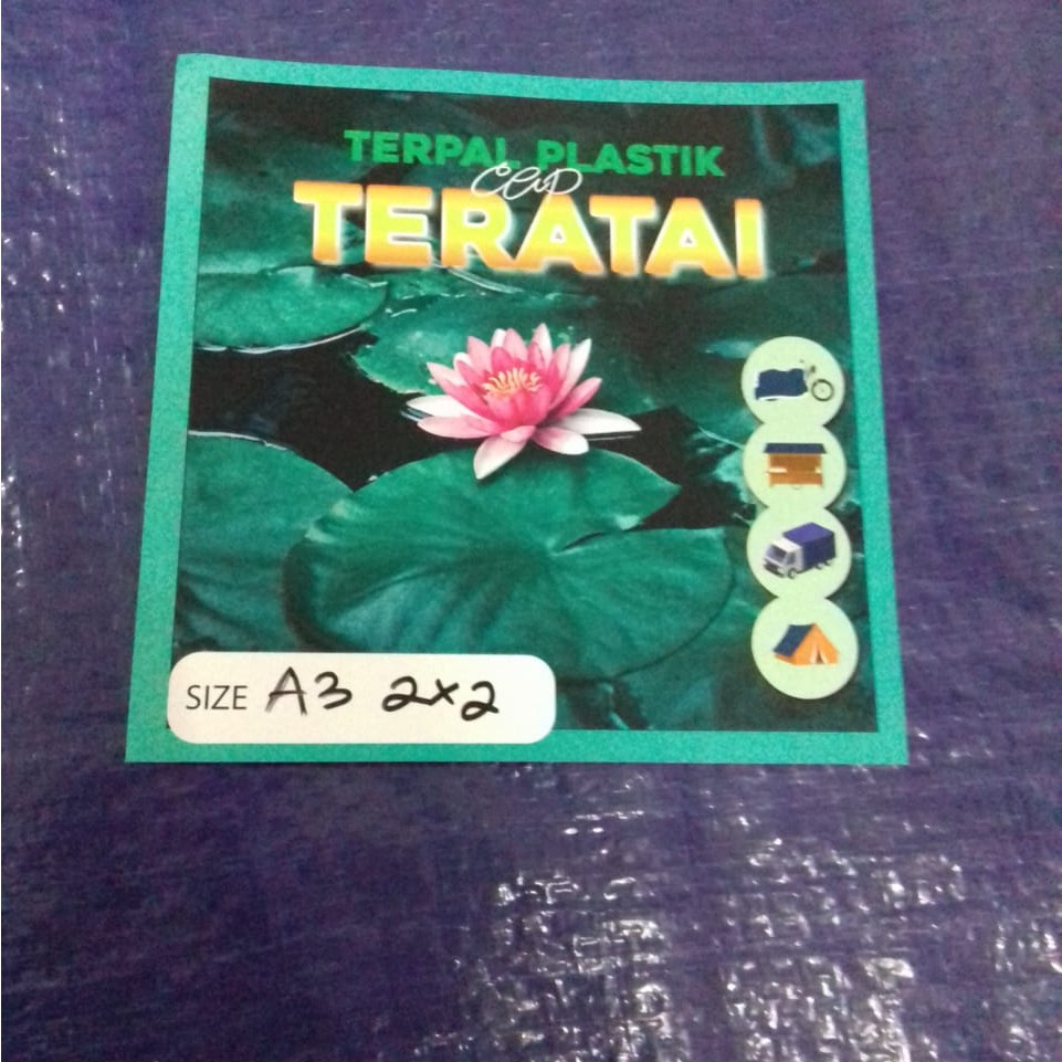 TERPAL PLASTIK A3  2meter x 2meter