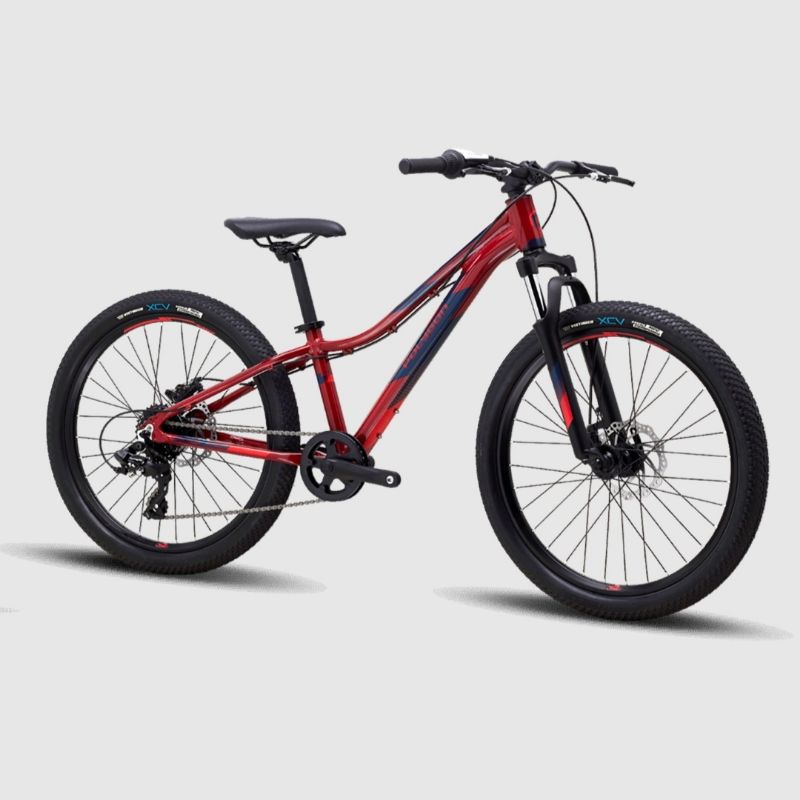 MTB 24" Polygon Relic 24