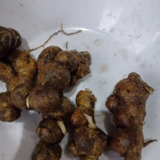 Rimpang kunyit hitam asli.1kg