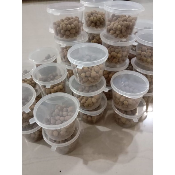

pil payudara ratu entok