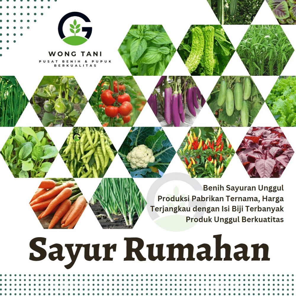 Jual Bibit Sayuran Benih Sayur Paket Lengkap Tanaman Hidroponik Kangkung Bayam Brokoli Cabe