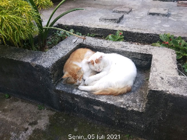 Maginot Kemeja Batik 2.0 Sagara-ss Motif Timbul Lengan Pendek Pria + Free Masker