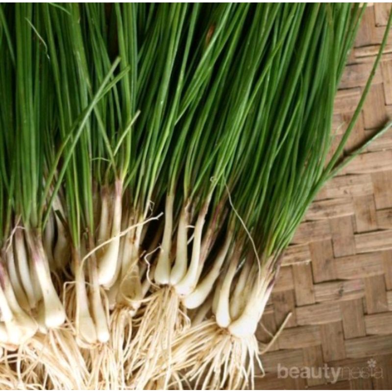 

Bawang Batak 100gr