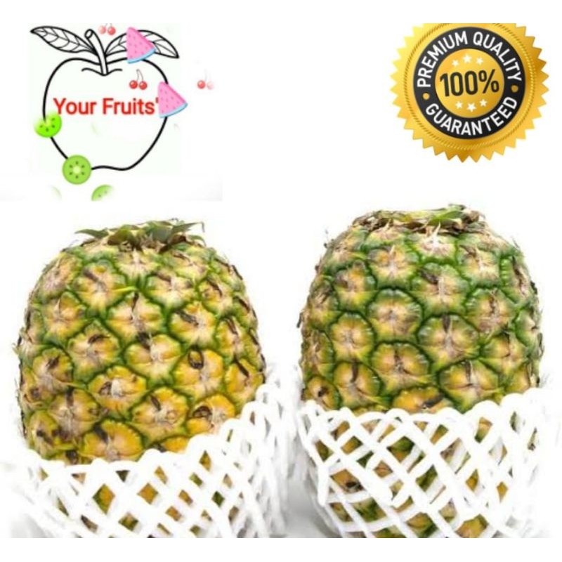 

Buah Nanas Honi Madu Sunpride
