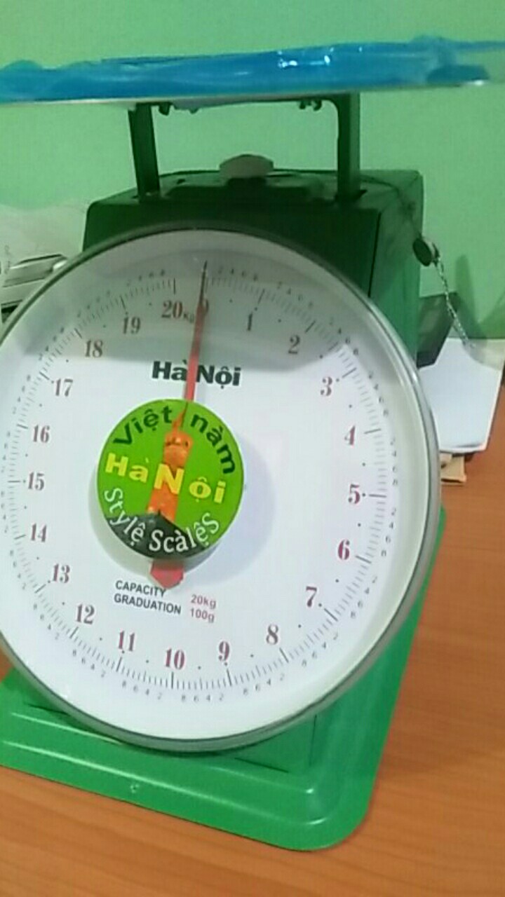 Timbangan Duduk Jarum Vietnam Kapasitas 20 Kg Rata / Flat