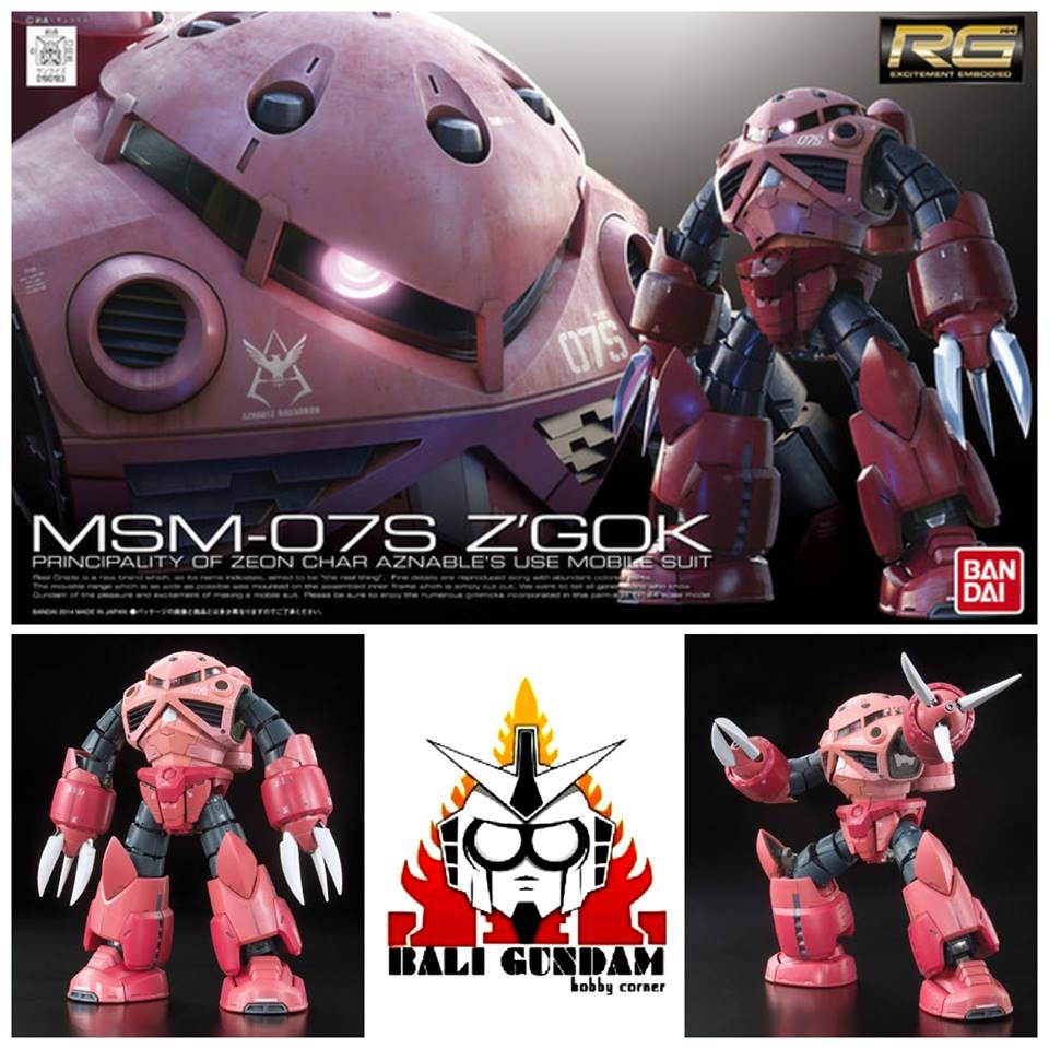 RG 1/144 MSM-07S ZGOK CHAR AZNABLE USE Bali Gundam Hobby Corner Bandai Original