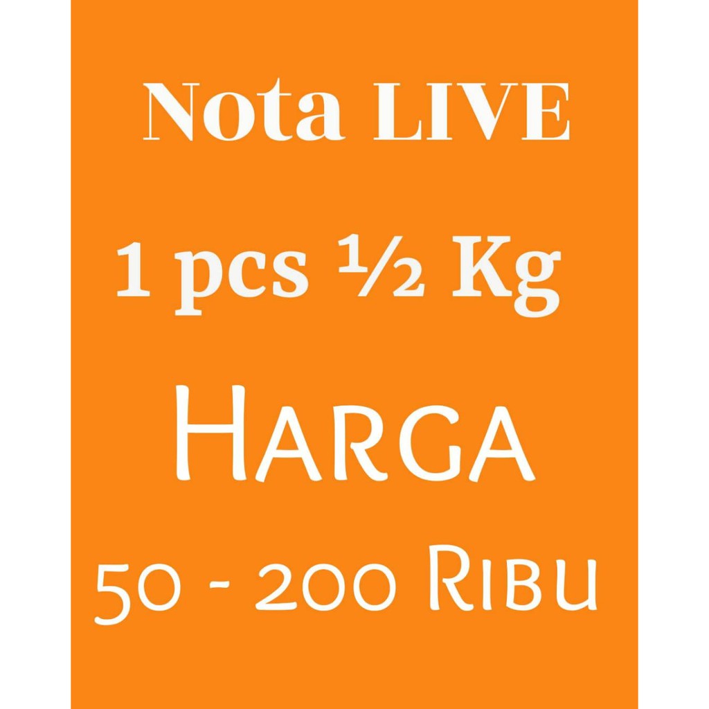 Nota live 2pcs 1/2 KG