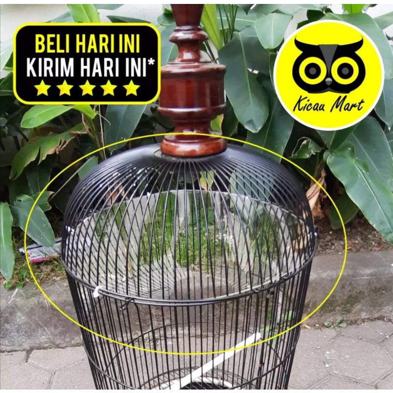 plafon mika lentur atap sangkar lovebird terapi lovebird jeruji nakal ngering