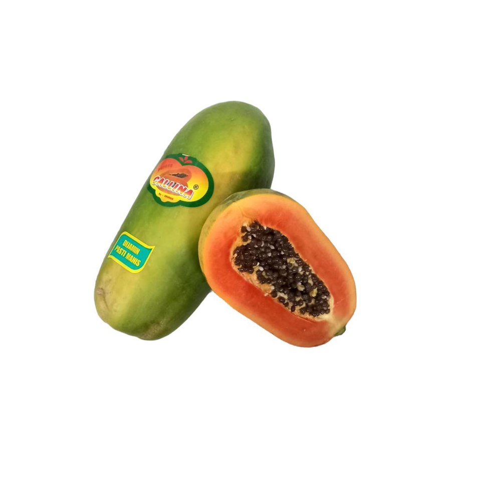 

TBS.ID-Pepaya Calina +-1.1kg