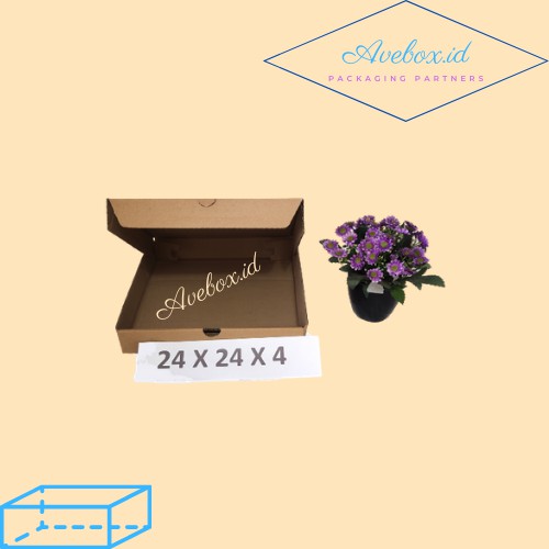 

[MINIMAL ORDER 10pcs] (24 X 24 X 4 CM) BOX KARDUS PACKING PIZZA / BAJU MURAH