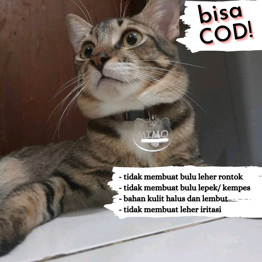 KALUNG KUCING CUSTOM NAMA DAN NO HP LONCENG LUCU BAHAN KULIT MODEL CETEKAN - LIONTIN KEPALA KUCING AKRILIK