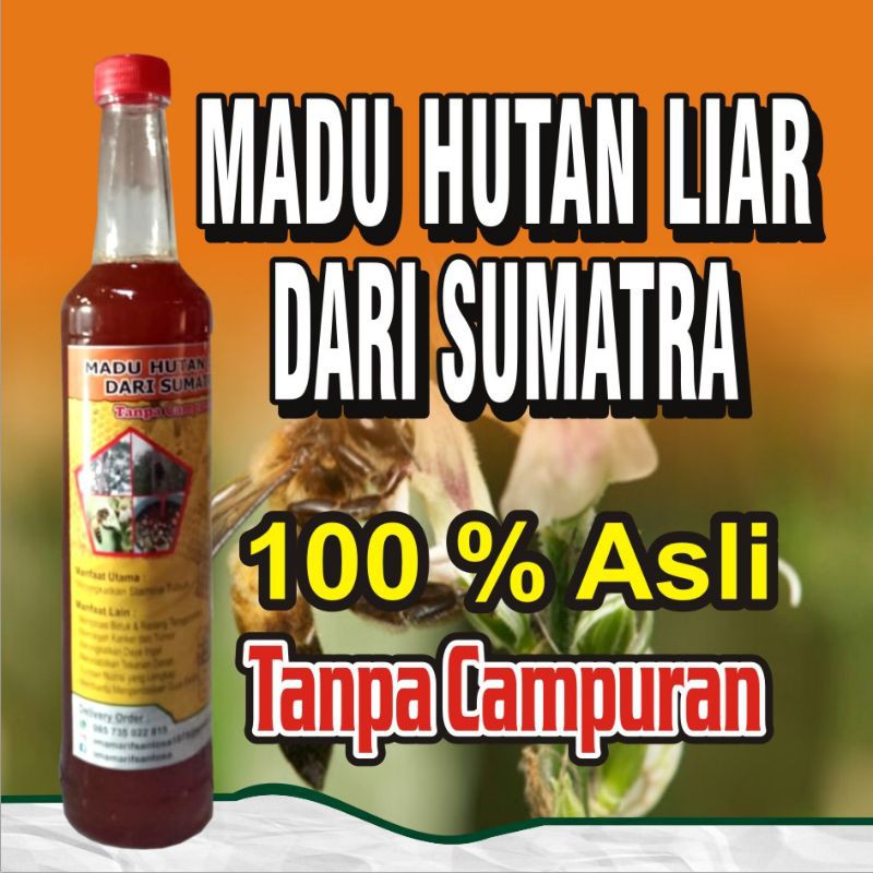

Madu Hutan Liar Sumatra