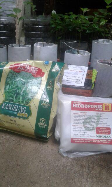 Kangkung Ta Fung-benih Bibit Sayur Kangkung Super Ta Fung 500gr