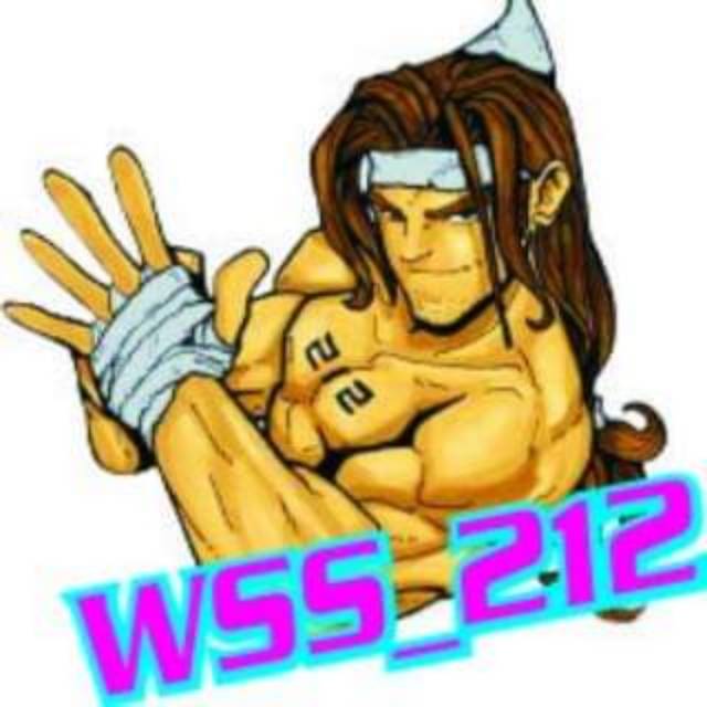 wss_212