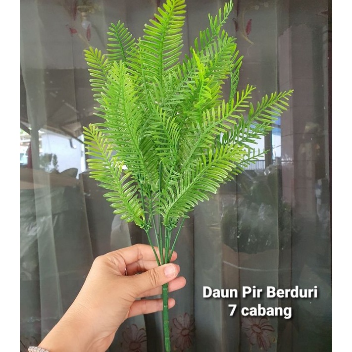 Daun Pir Berduri x7 / Daun Pakis Ulat