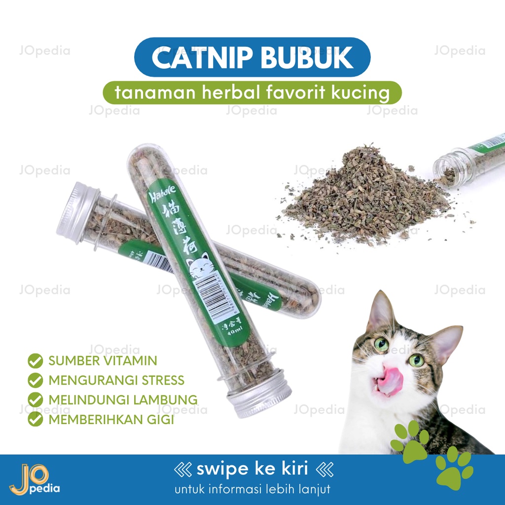 CATNIP BUBUK BOTOL Snack Kucing Makanan Serbuk Daun Cat Mint Powder