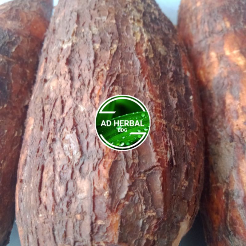 

RB22 Singkong Racun Sapi Kuru Segar 1Kg