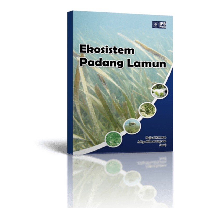 Ekosistem Padang Lamun