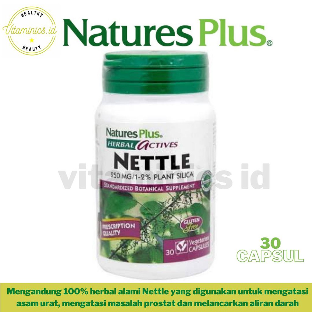 Natures Plus / Nature's Plus Nettle 250mg Asam Urat 250 mg