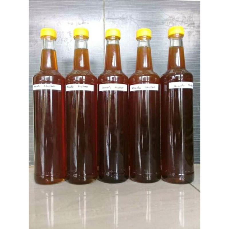 

maduhutan/asli/dari/hutan
