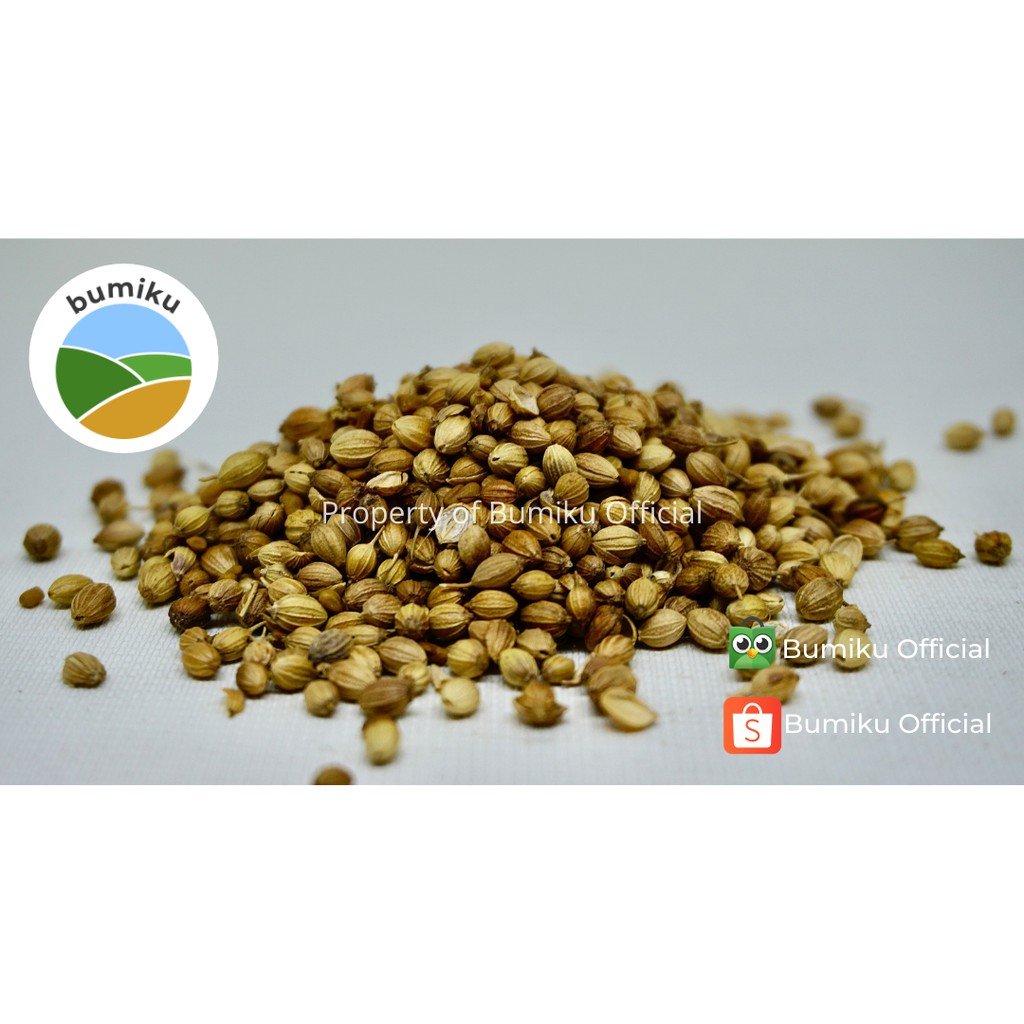 

Termurah Biji Ketumbar | 100g | Coriander Seed Premium