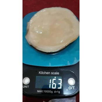 

[KODE PRODUK PHKEQ8048] !!! SCOBY ATAU JAMUR DIPO UNTUK MEMBUAT KOMBUCHA