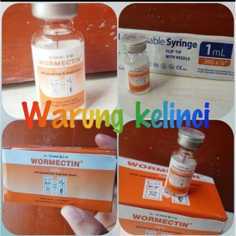 Obat suntik scabies kelinci kucing anjing dan hewan lainnya wormectin 2 ml + suntikan