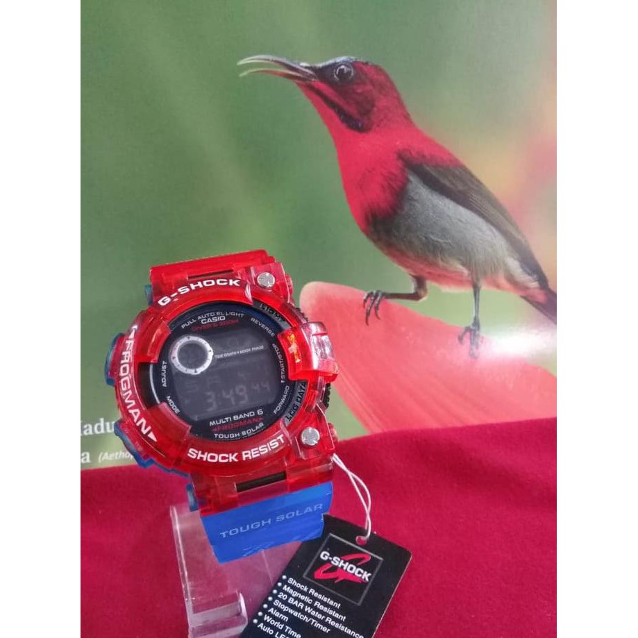 BARU JAM TANGAN SPORT DIGITAL CASIO G-SHOCK FROGMAN JELLY RED BLUE HIGH QUALLITY