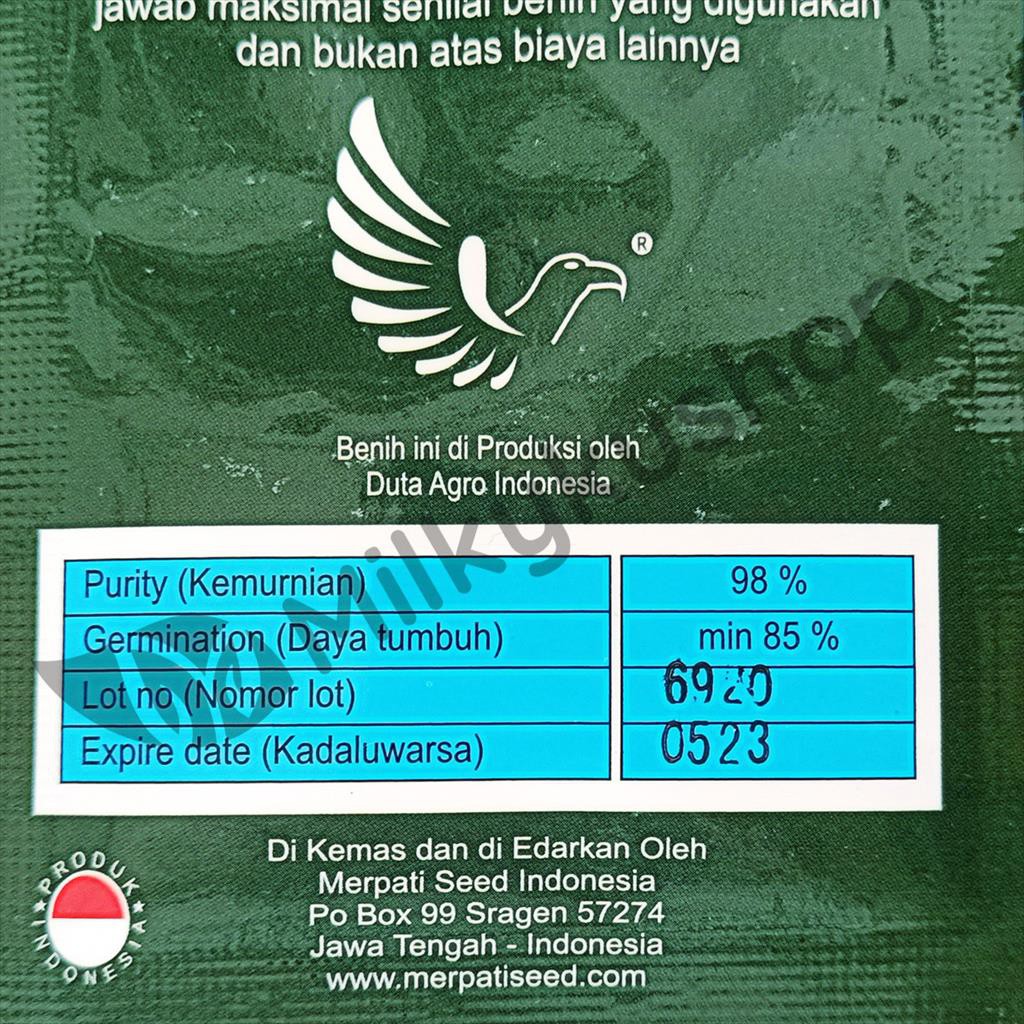 BENIH MERPATI SEED HALO F1 TIMUN 40 BIJI SACHET KEMASAN PABRIK