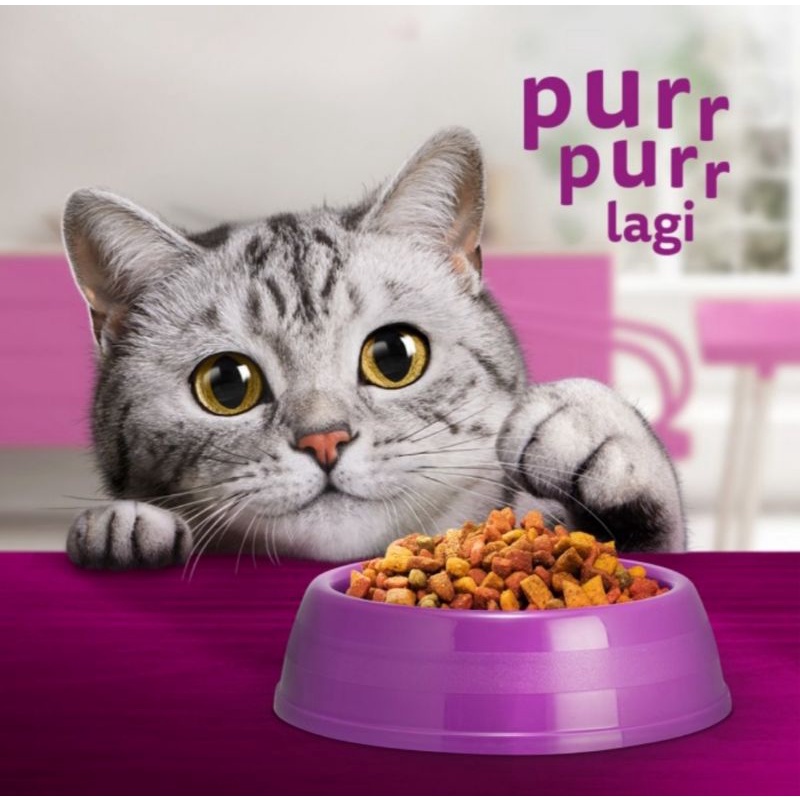 Whiskas Junior Dry food 1,1 kg