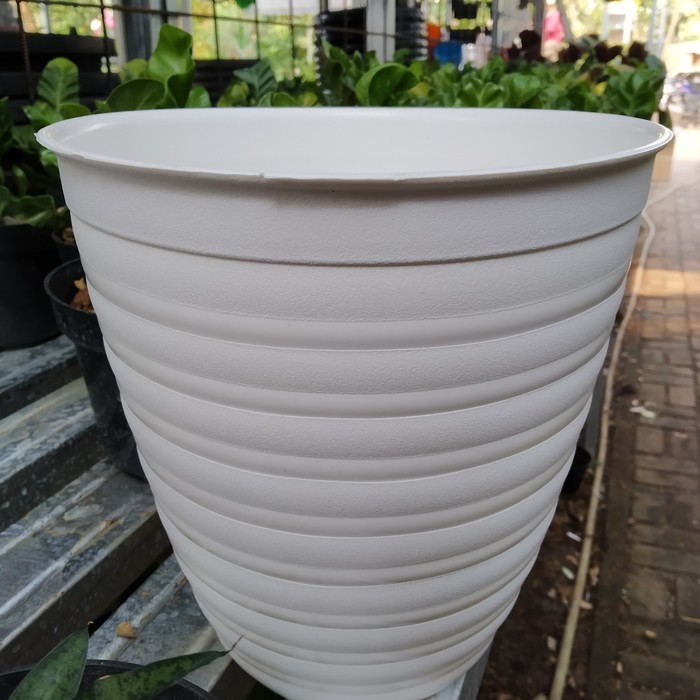 Jual Pot Bunga Tawon Putih 241 Tinggi Pirus Pot Plastik Limited Shopee Indonesia