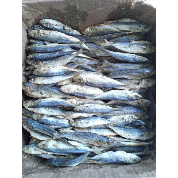 

Layang Super Premium
