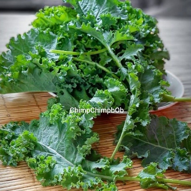 

KALE KRITING SEGAR 250 GRAM / CURLY KALE FRESH