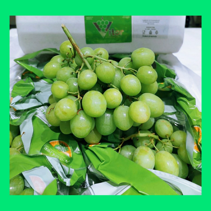 

buah Premium Anggur Autumn Crisp australia, sweet, seedless & crunchy