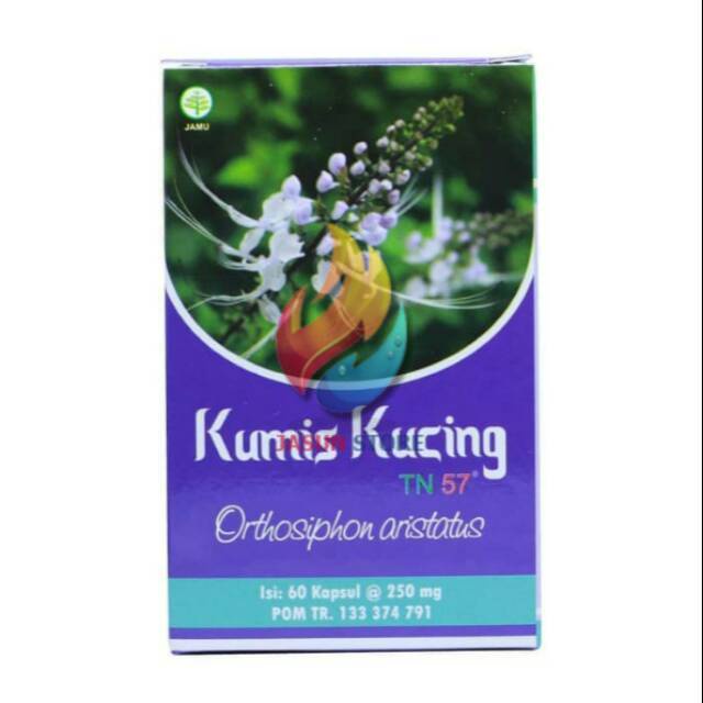 Kumis Kucing TN 57 Isi 60 Kapsul  Herbal Pelancar BAK Luruhkan Bayu Ginjal dll