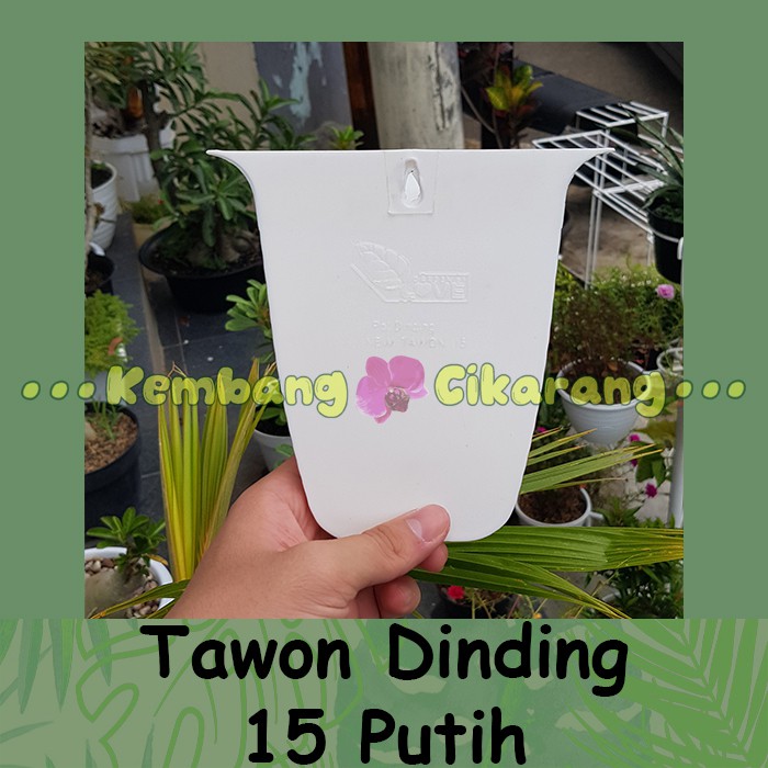 DINDING TAWON 15 PUTIH Pot bunga tempel Pot dinding kecil tanpa lubang