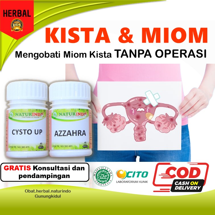 Jual Obat Kista Miom Ganglion Endometriosis Kista Ovarium Tumor Kista