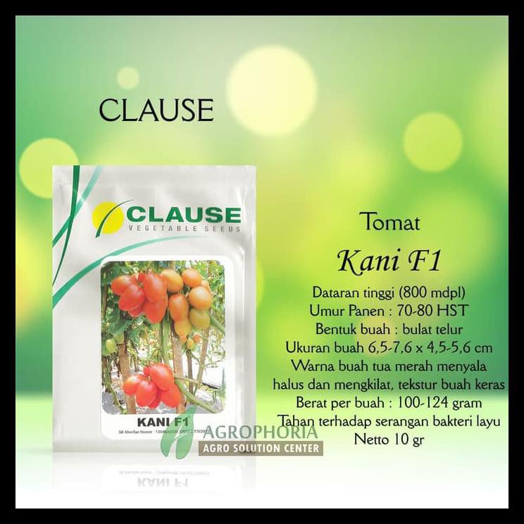 Benih Tomat Kani 10 Gram - Clause