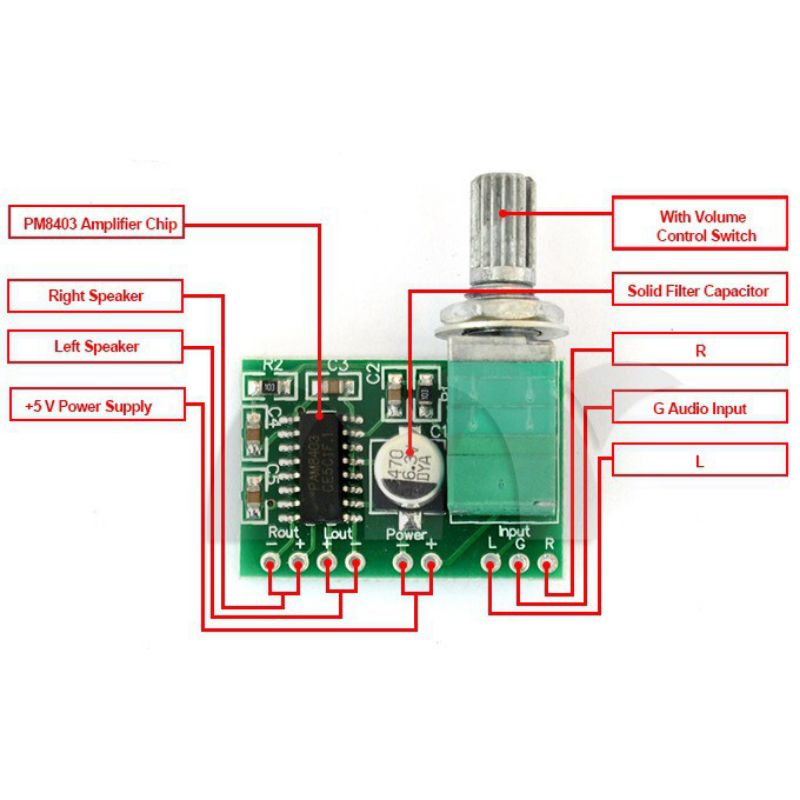 digital amplifir clas d pam 8403 setereo 5 volt