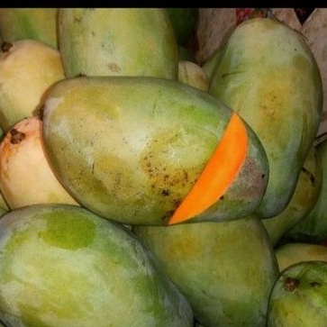 

mangga budiraja 1kg