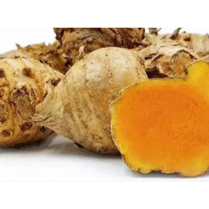 

BumiExotic Temu lawak herbal 1kg segar dan fresh