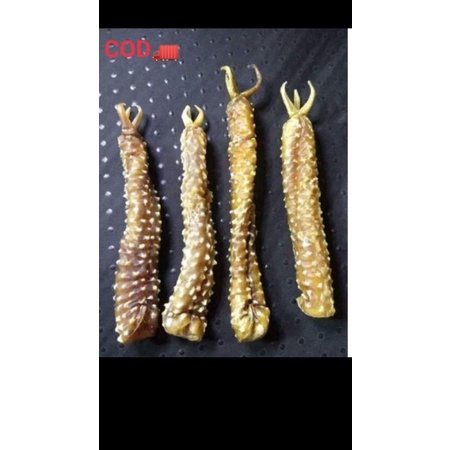 tangkur buaya kalimantan