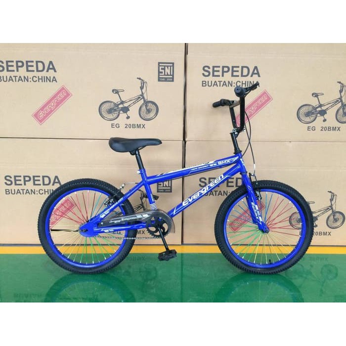 Sepeda Anak Bmx 20 Evergreen